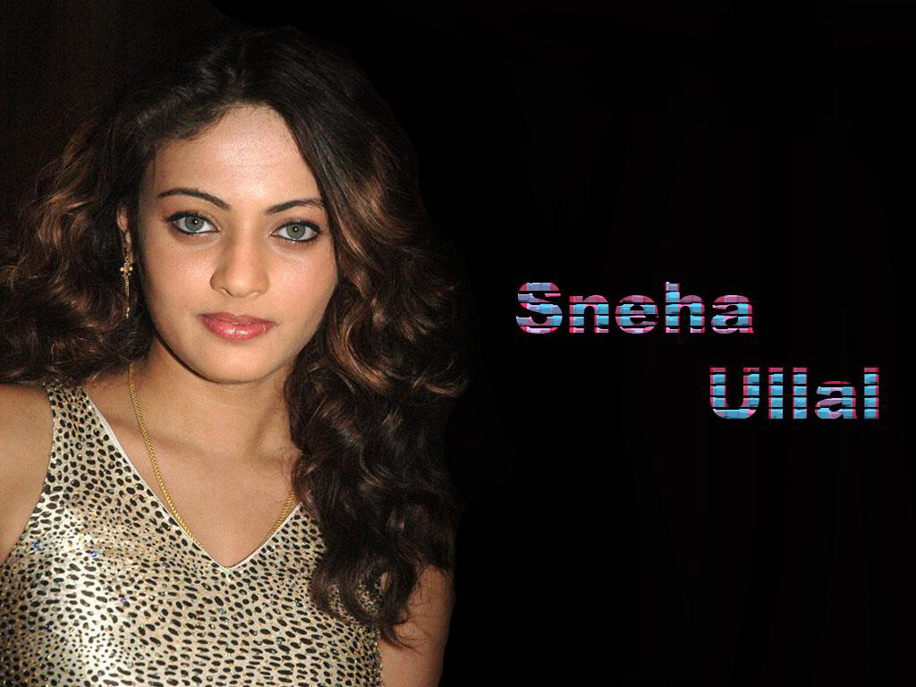 housefull.in - sneha ullal, wallpaper, free wallpaper, desktop ...